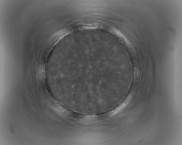 X0000108481353200904171602