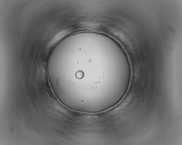 X0000108481354200904171602