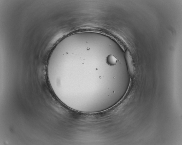 X0000108481355200904171602