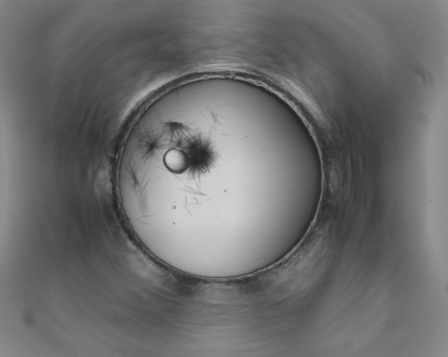 X0000108481356200904171602