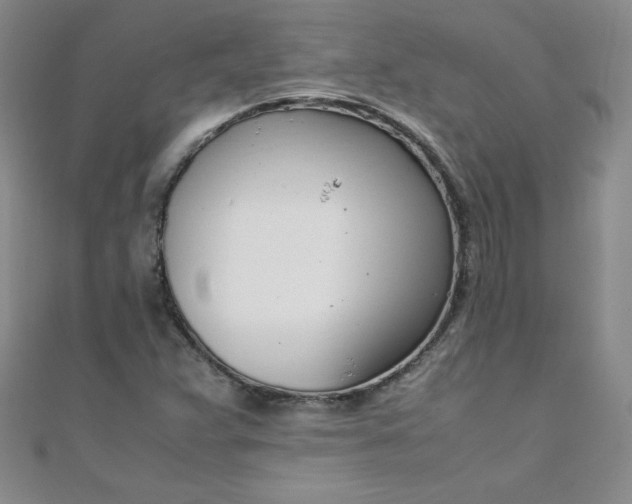 X0000108481359200904171602