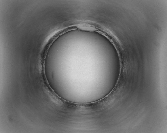 X0000108481360200904171602