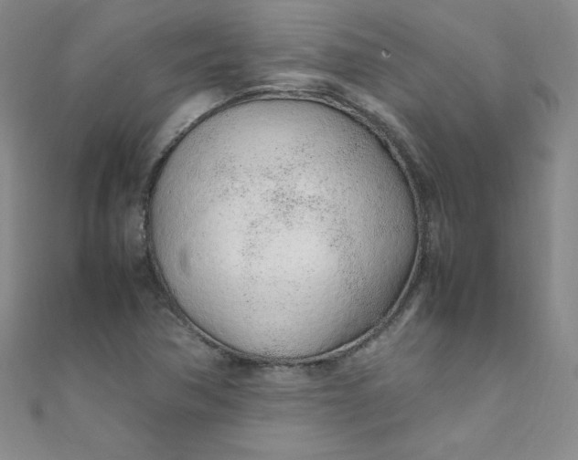 X0000108481362200904171602