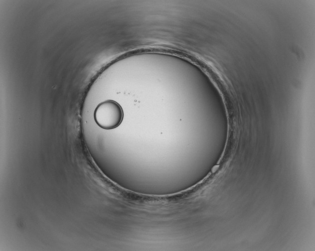 X0000108481363200904171602