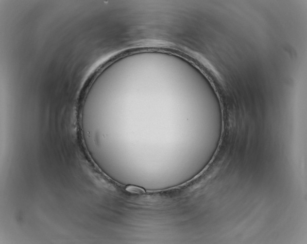 X0000108481364200904171602