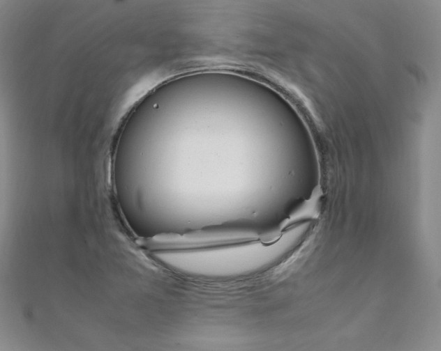 X0000108481365200904171602