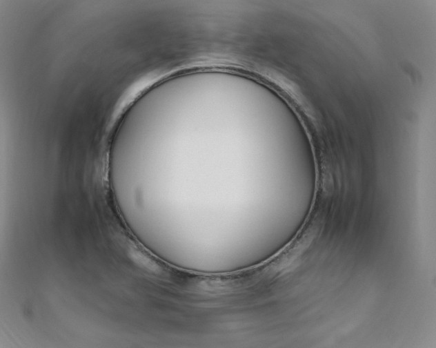 X0000108481366200904171602