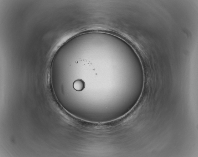 X0000108481367200904171602