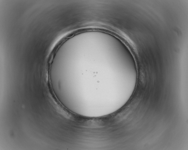 X0000108481368200904171602