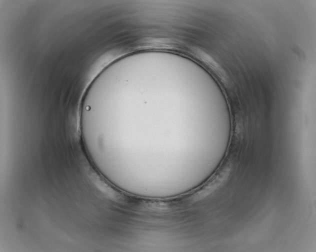 X0000108481370200904171602