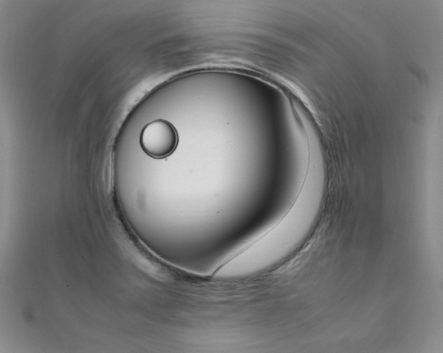 X0000108481371200904171602