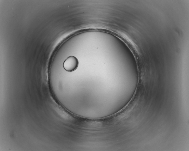 X0000108481372200904171601