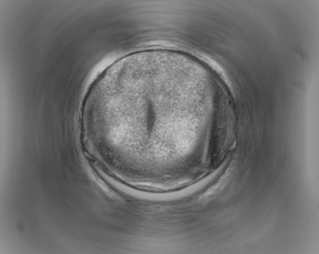 X0000108481373200904171601