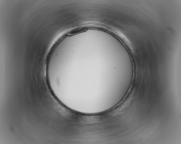 X0000108481376200904171601