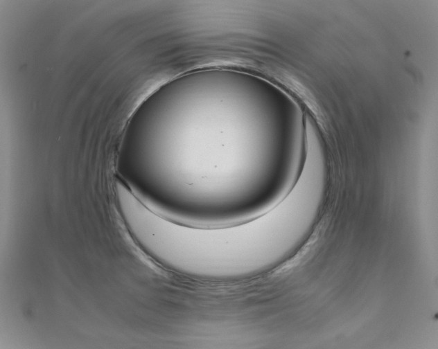 X0000108481377200904171601