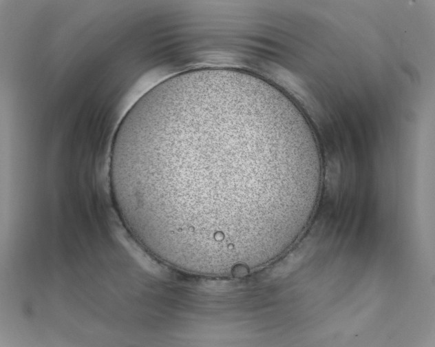 X0000108481378200904171601