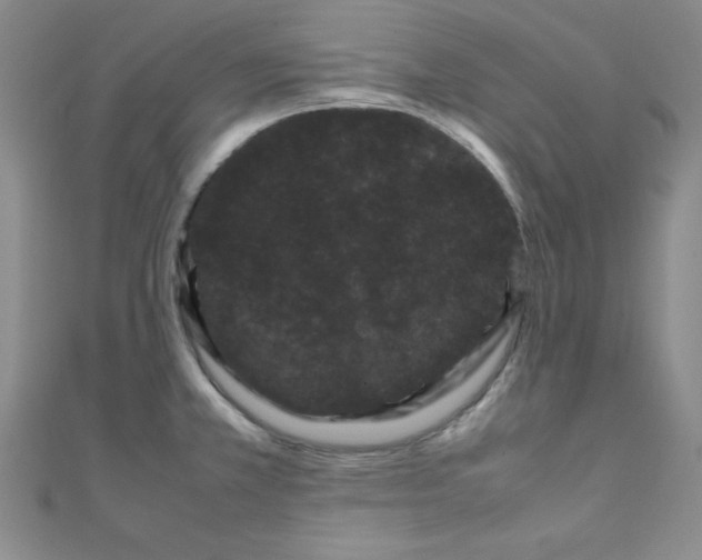 X0000108481381200904171601