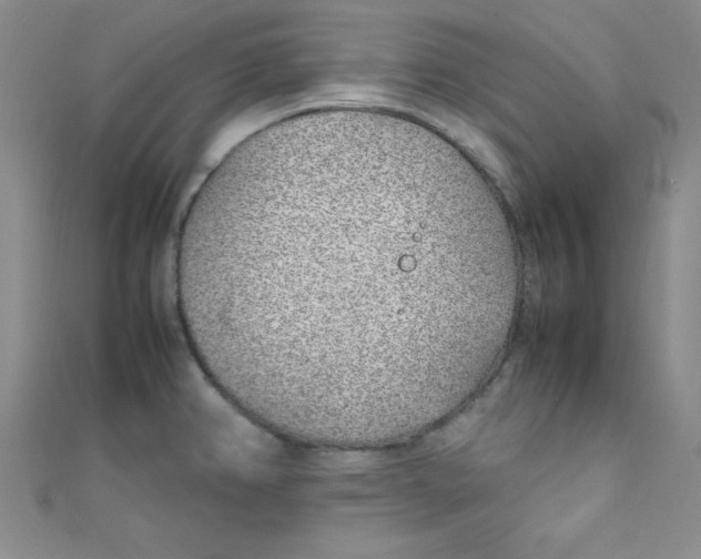 X0000108481382200904171601