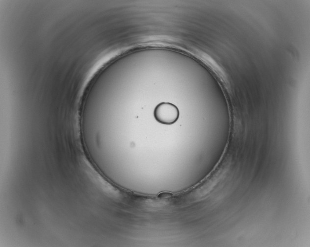 X0000108481384200904171601