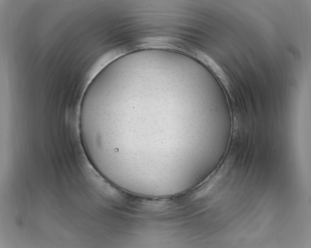 X0000108481386200904171601