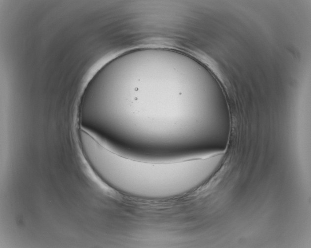 X0000108481387200904171601