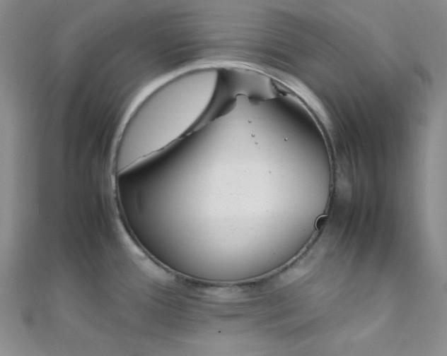 X0000108481388200904171601