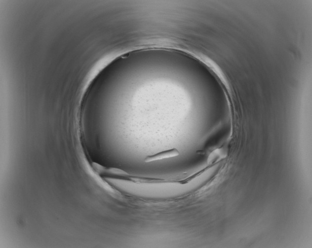 X0000108481389200904171601