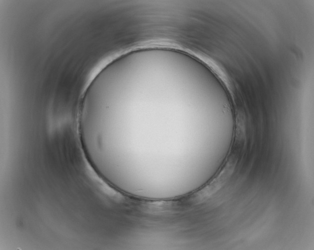 X0000108481390200904171601