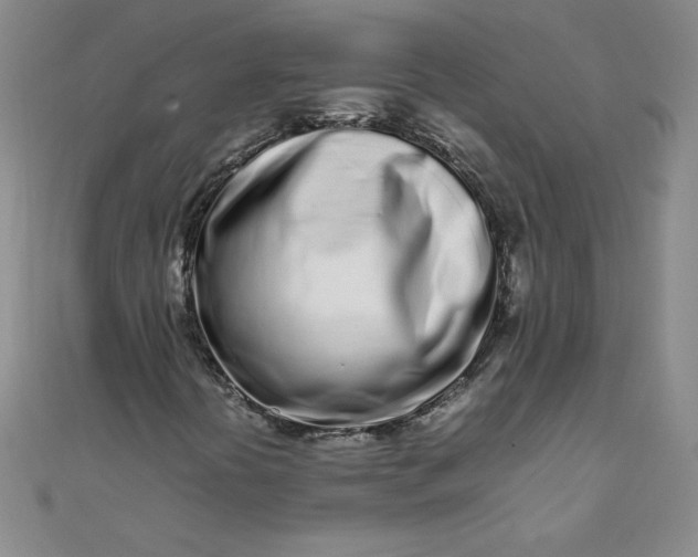X0000108481394200904171600