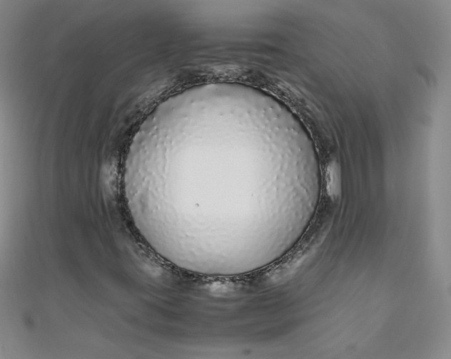 X0000108481395200904171600