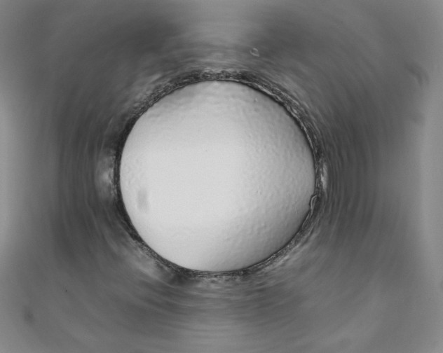 X0000108481396200904171600