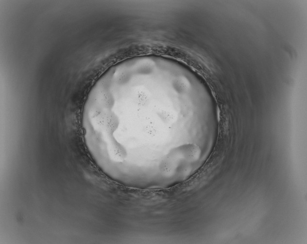 X0000108481397200904171600