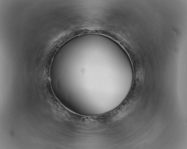 X0000108481398200904171600