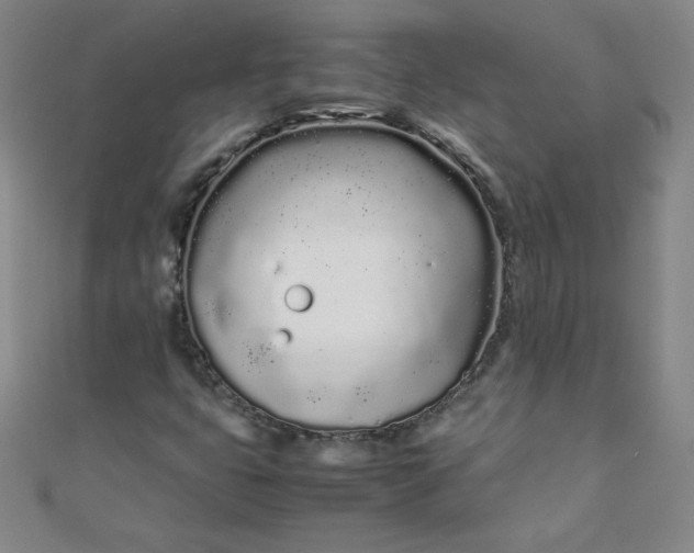 X0000108481399200904171600