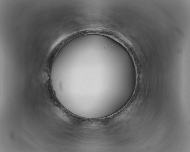 X0000108481400200904171600