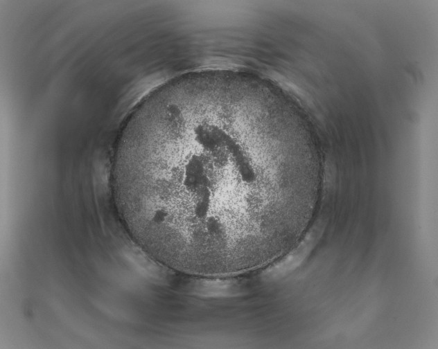X0000108481401200904171600