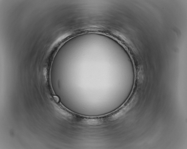 X0000108481402200904171600