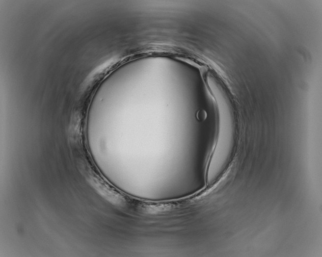 X0000108481403200904171600