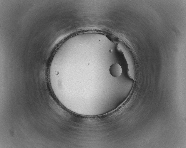 X0000108481404200904171600