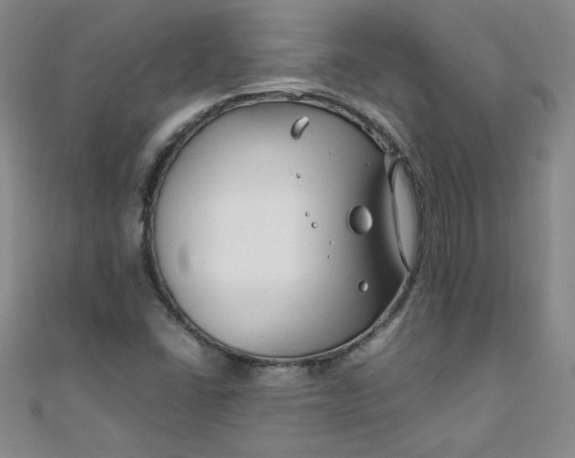 X0000108481406200904171601