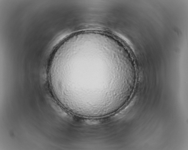 X0000108481407200904171601