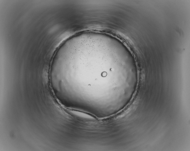 X0000108481409200904171601