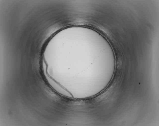 X0000108481410200904171601