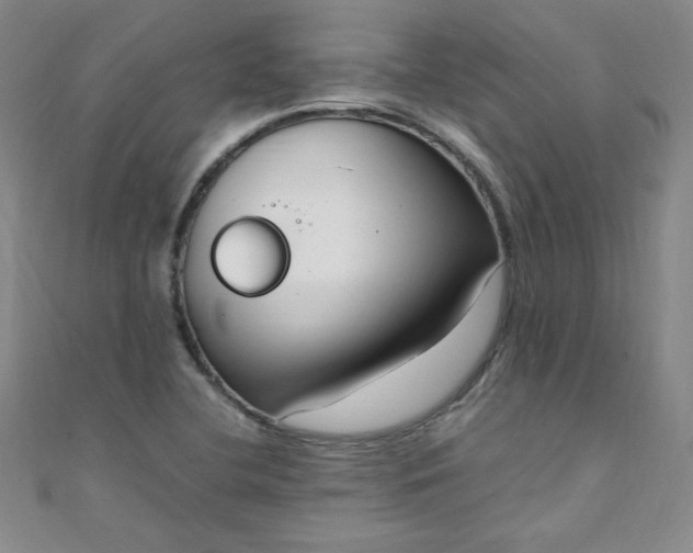 X0000108481412200904171601