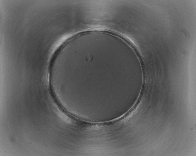 X0000108481414200904171601