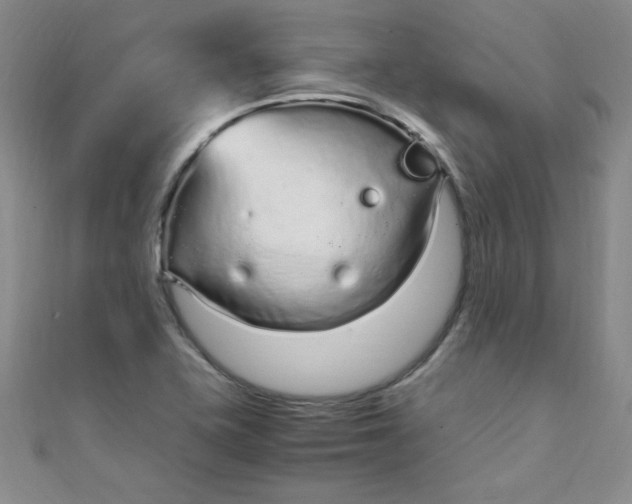 X0000108481415200904171601