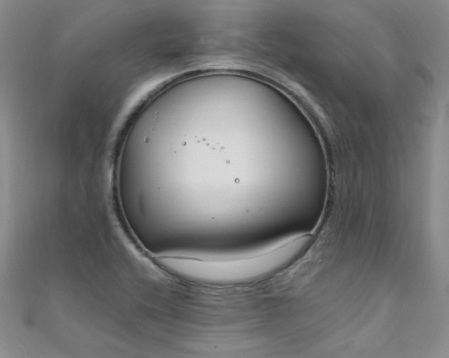 X0000108481416200904171601