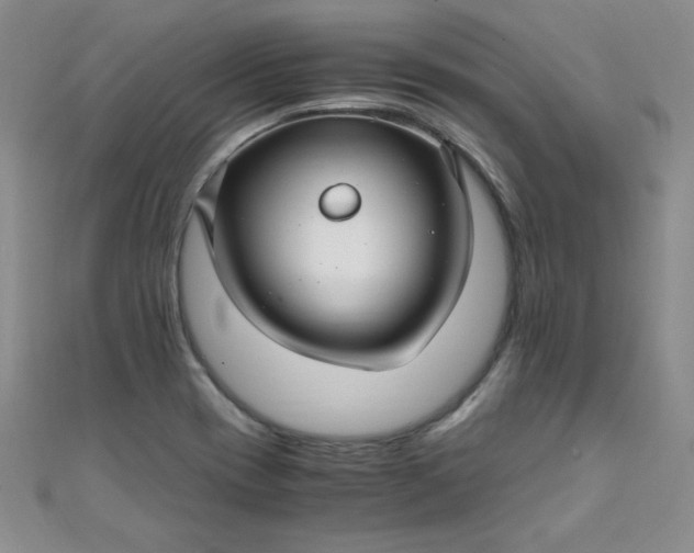 X0000108481417200904171601