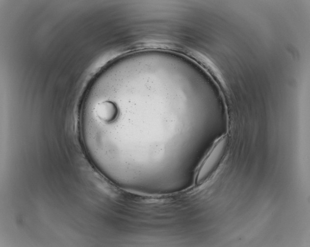X0000108481419200904171601