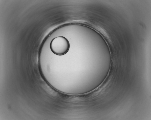 X0000108481420200904171601